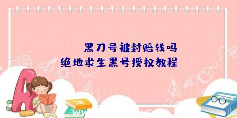 「pubg黑刀号被封赔钱吗」|绝地求生黑号授权教程